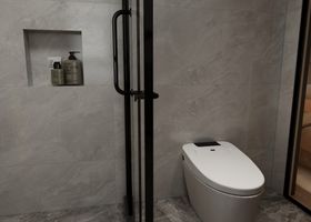 Smart Toilets